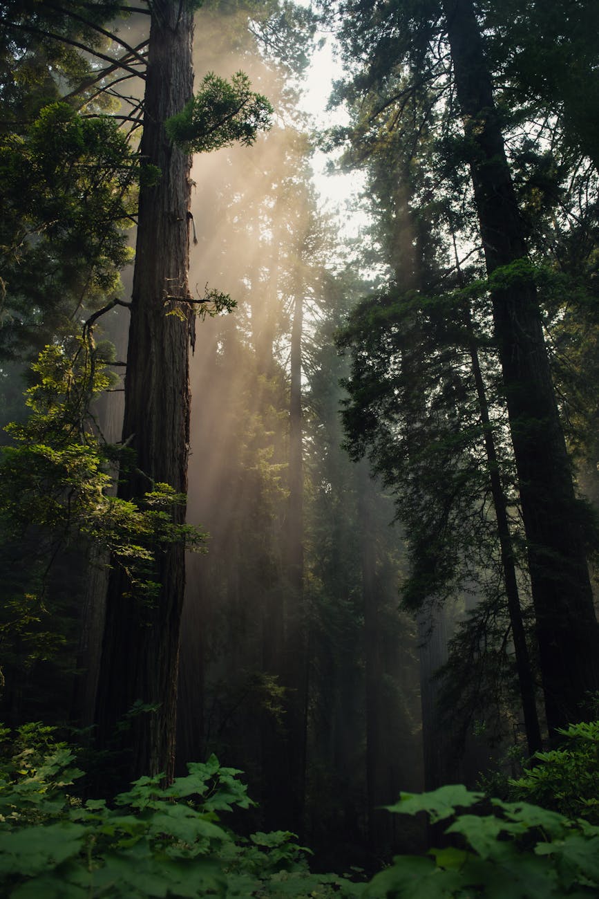 March 5th Writing and Travel&nbsp;Update