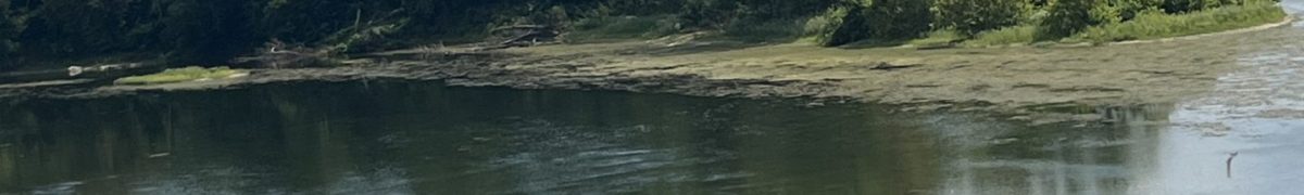 Taking a Break and Exploring the&nbsp;Land